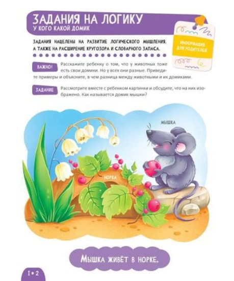 Развитие малыша. Развиваем внимание и память. 2-3 года