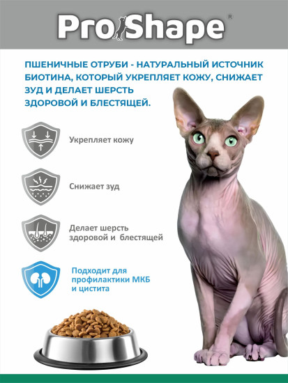 Сухой корм для кошек с морской рыбой «Здоровая кожа без перхоти, красивая шерсть»