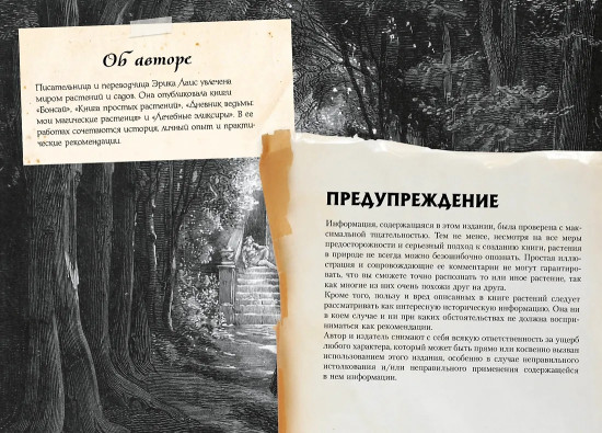 Маленький гримуар ведьмы. Зелья и волшебные травы