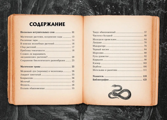 Маленький гримуар ведьмы. Зелья и волшебные травы