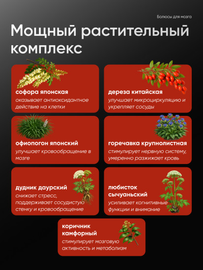 Болюсы для мозга «Huatuo Zaizao Wan» для памяти