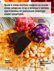 Мармелад с облепихой, брусникой, черноплодной рябиной в шоколадной глазури - Фото 5