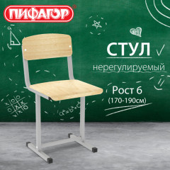 Стул ученический, нерегулируемый SC-1, 380х380х790 мм, рост 6 (170-190 см), серый каркас, 533348 - Фото 2