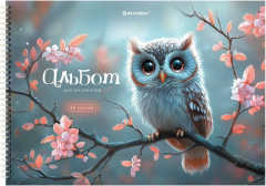 Альбомы для рисования ДЭК, А4, 40 л., Комплект 2 шт., гребень, обложка картон,  «Лесные друзья», 107746 - Фото 1
