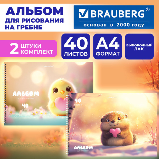 Альбомы для рисования ДЭК, А4, 40 л., Комплект 2 шт., гребень, выборочный лак, 200х290 мм, 107748