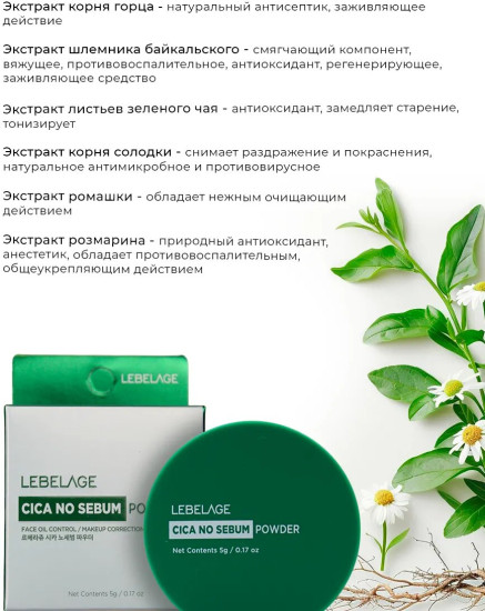 Пудра матирующая рассыпчатая с центеллой азиатской «Cica No Sebum Powder», оттенок Прозрачный