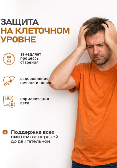 Капсулы для иммунитета «Гриб Линчжи» Ganoderma