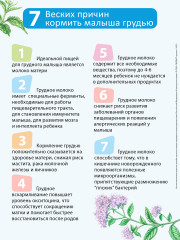 Напиток «Фиточай Лактогон» - Фото 5