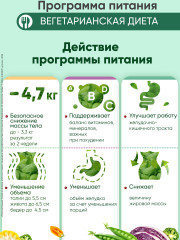 Программа питания «Вегетарианское меню» - Фото 2