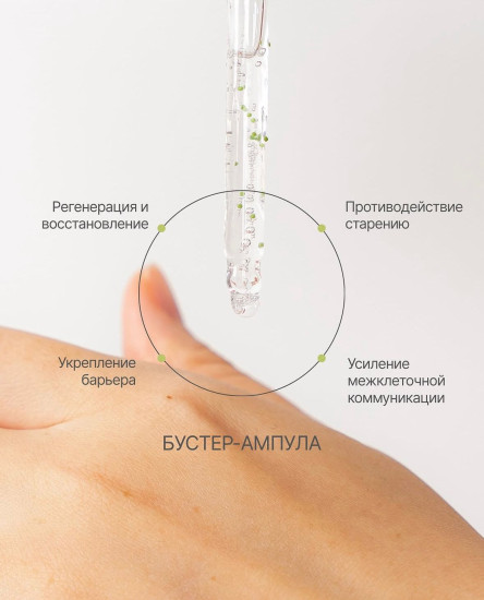Zeze Exosome Pdrn Booster Ampoule 