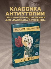 Улей - Фото 3