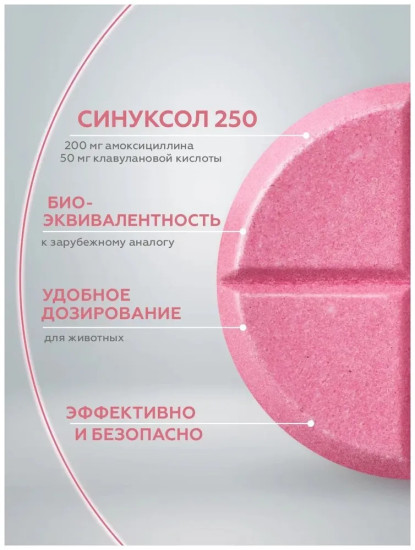 Антибактериальный препарат для кошек и собак «Синуксол-Нита 50»