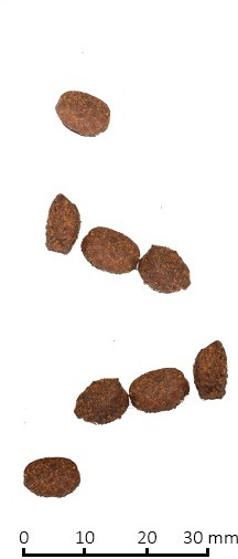 Корм для взрослых кошек с курицей и гранатом