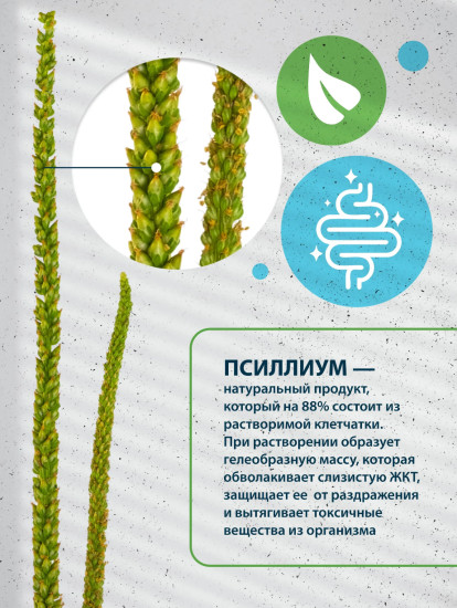 Псиллиум
