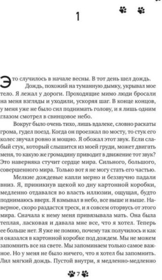 Она и ее кот