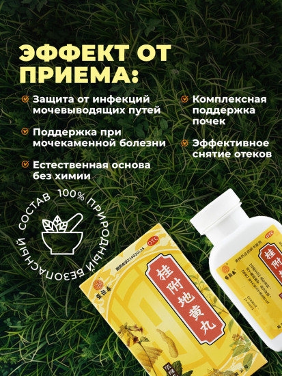 Таблетки для почек «Лювэй Дихуан Ван»