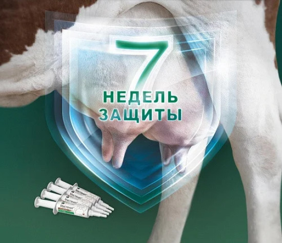 Средство противомаститное для коров «Мастенит»