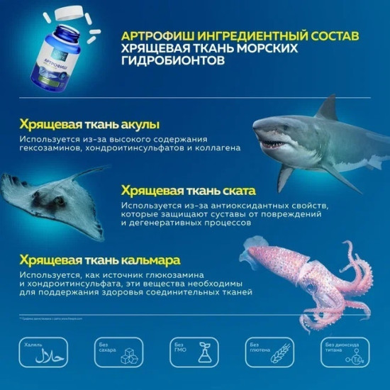 Доктор Море Артрофиш хондропротектор для суставов и связок, глюкозамин и хондроитин (glucosamine chondroitin) 120шт