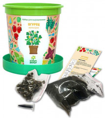 Набор для выращивания «Огурец Корнишон» - Фото 1