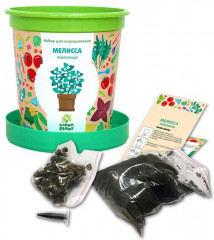 Набор для выращивания «Мелисса лимонная» - Фото 1