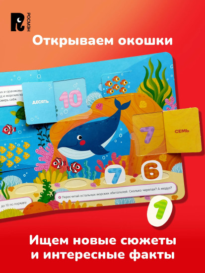 Цифры и счёт. Кармашки и окошки
