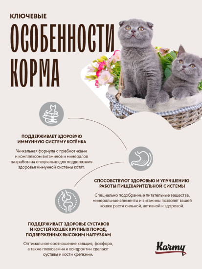 Сухой корм для беременных кошек и котят породы британская короткошерстная с индейкой