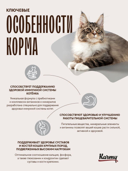Сухой корм для беременных кошек и котят породы мейн-кун с индейкой «Maine Coon Kitten»