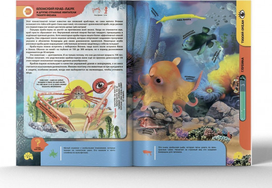 Подводные жители. 4D книга