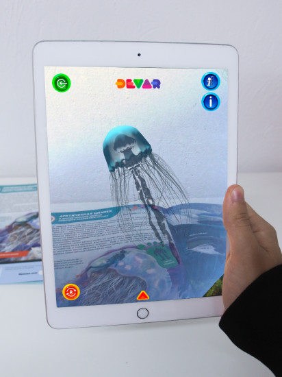 Подводные жители. 4D книга