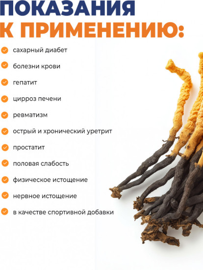 Кордицепс в капсулах для иммунитета, сердца, мозга