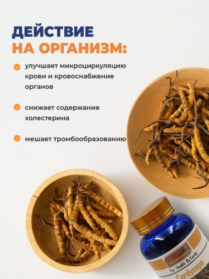 Кордицепс в капсулах для иммунитета, сердца, мозга