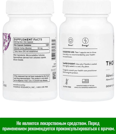 Кора надпочечников Adrenal Cortex