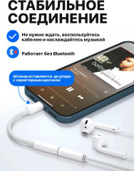 Кабель Lightning – AUX JACK 3.5 мм - Фото 1