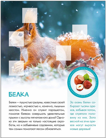 Книжка с наклейками «Мир животных с Кто живёт в лесу?»