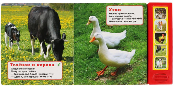 Кто как говорит