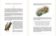 За руку с лесом.Жизнь в ритме природы,янтарный мед и деревенское крыльцо - Фото 3