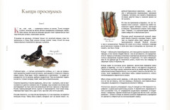 За руку с лесом.Жизнь в ритме природы,янтарный мед и деревенское крыльцо - Фото 8
