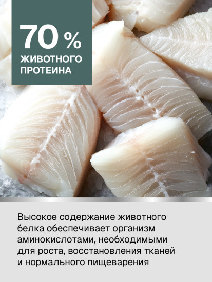 Корм для кошек для стерилизованных кошек с рыбой