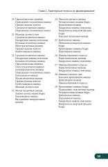 Карманный атлас триггерных точек. Иллюстрированное руководство по анатомии мышц, зонам боли и миофасциальным меридианам - Фото 9