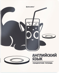 Тетради предметные - Фото 7