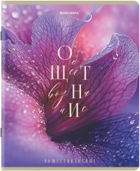 Тетради предметные - Фото 14
