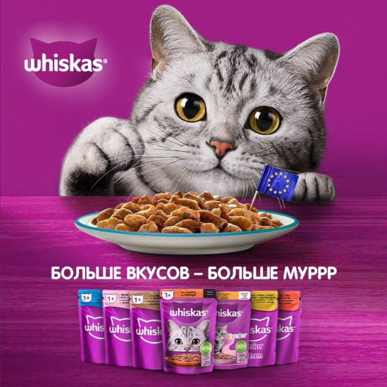 Корм для кошек «Рагу с курицей»