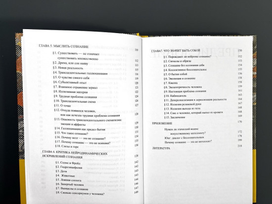 Критика искусственного разума.Монография