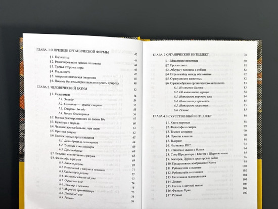Критика искусственного разума.Монография