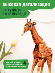 3D пазл «Жираф» - Фото 4