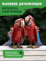 3D пазл «Ара» - Фото 4