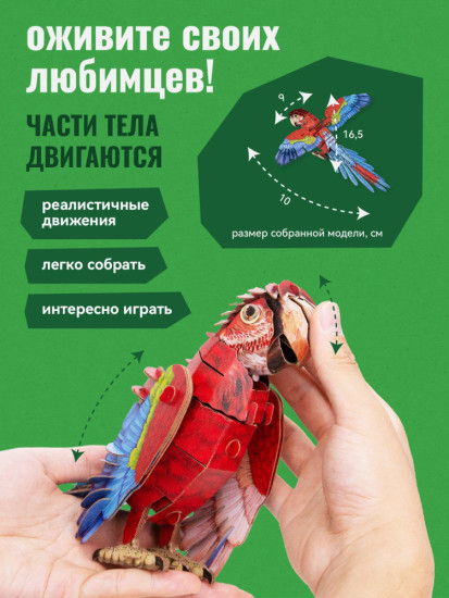 3D пазл «Ара»