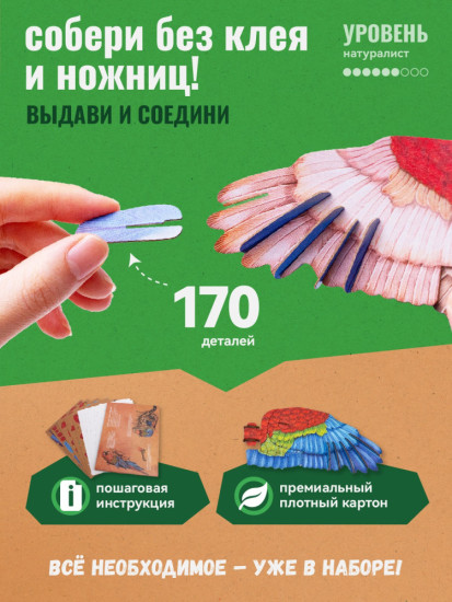 3D пазл «Ара»