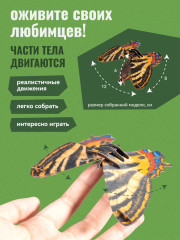 3D пазл «Бабочка Парусник» - Фото 3