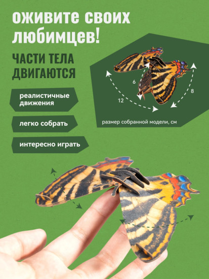 3D пазл «Бабочка Парусник»